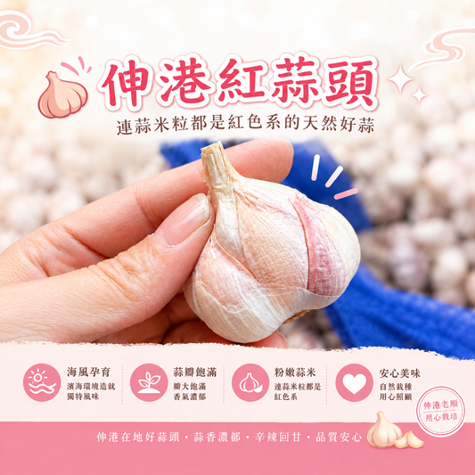 《老順蒜頭》正宗台灣伸港蒜頭