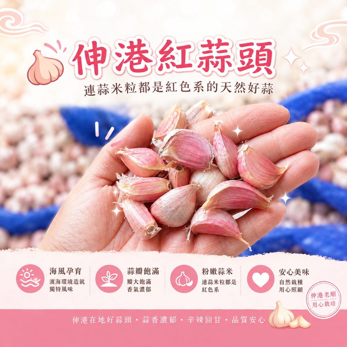 《老順蒜頭》正宗台灣伸港蒜粒