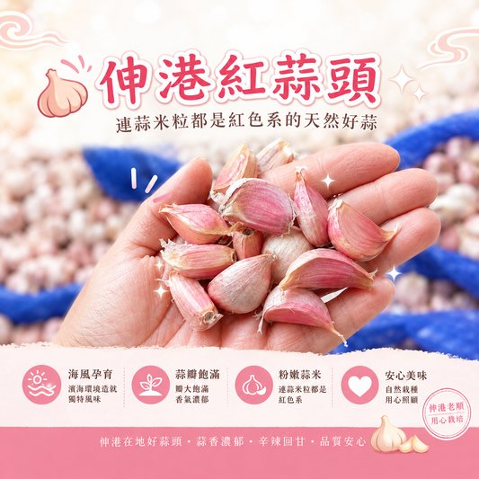 《老順蒜頭》正宗台灣伸港蒜粒